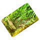 thumbnail image 4 of Alfombra antideslizante para puerta, alfombra con absorción de agua, alfombrilla para baño, decoración para baño y dormitorio #1, 4 of 5