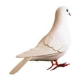 thumbnail image 3 of figatia Simulation Foam Pigeon Model Imitation Dust Miniature Statue Figure Residential Culture Realistic Pigeon Artificial Bird for Shelf White, 3 of 8