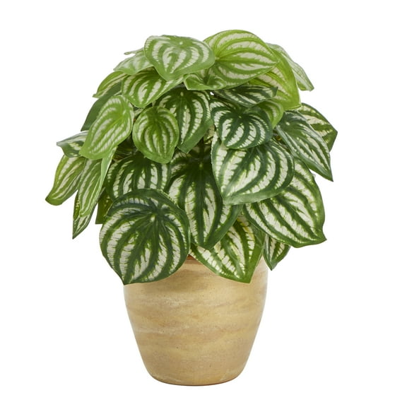 Nearly Natural 11" Watermelon Peperomia Artificial Plant in Ceramic Planter, Green