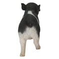 thumbnail image 4 of Bébé Cochon Debout - Noir et Blanc, 4 of 4