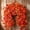 B, variant on PiGOGI 75cm Artificial Fall Flower Garland for Thanksgiving Wall Hanging Ceiling Outdoor Home Decoration