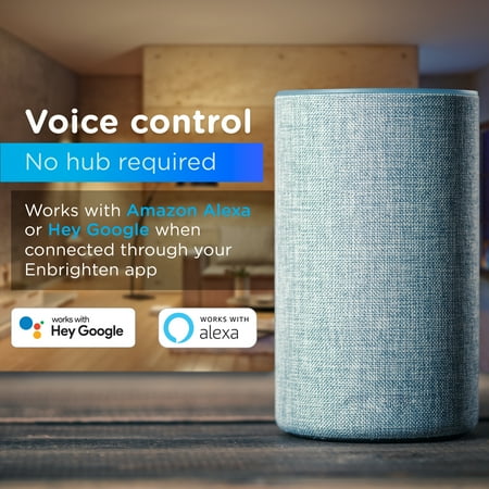 Enbrighten - Wi-Fi Smart Micro Indoor Plug-in - White