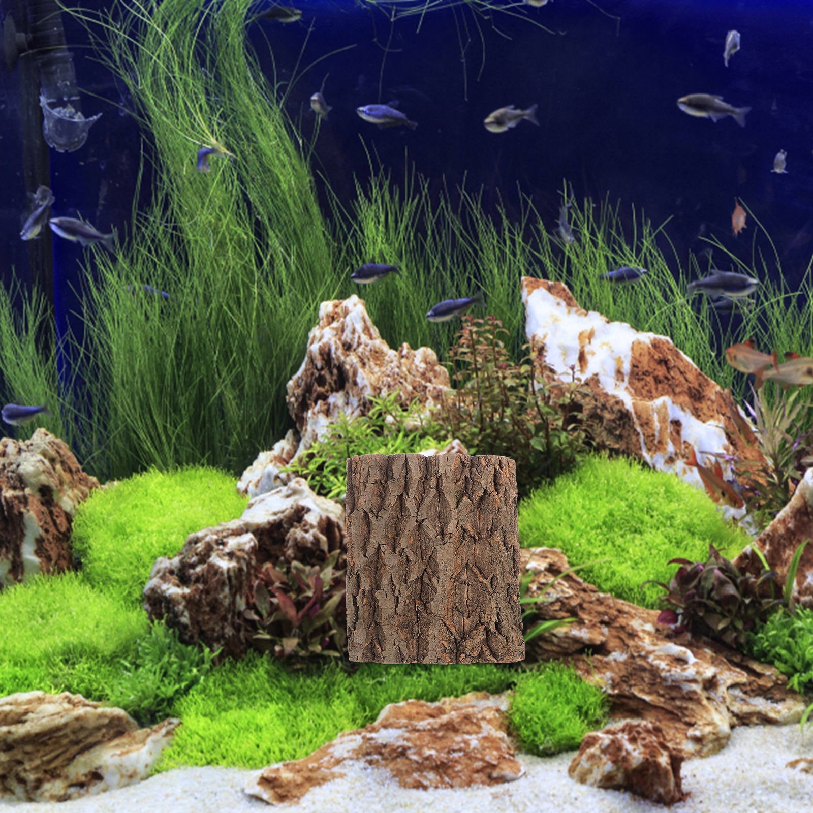 Amosfun 2Pcs Cork Bark Terrarium Wall Decor with Nonslip Surface for Reptile Habitat