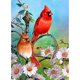 thumbnail image 1 of Taladro Pintura Diamante (DE4268) 5D DIY Pájaros completos Bordado de punto de cruz (B343) 40x50cm FLhrweasw Nuevo, 1 of 1