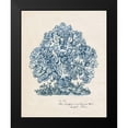 thumbnail image 2 of Wang, Melissa 12x14 Black Modern Framed Museum Art Print Titled - Sea Coral Study II, 2 of 5