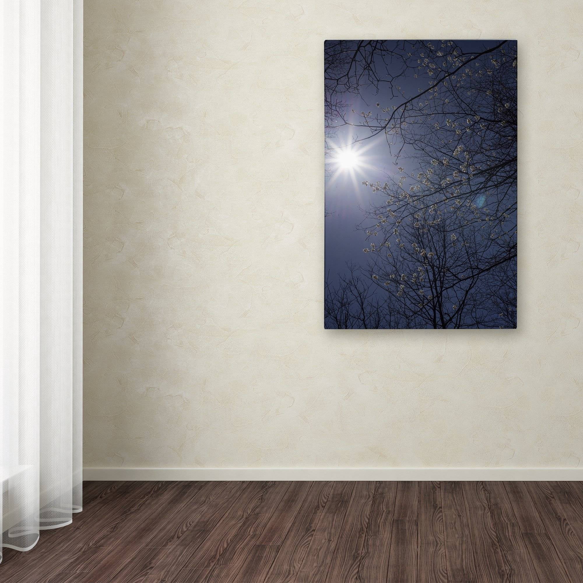 Trademark Fine Art "Springtime Sunshine" Canvas Art by Kurt Shaffer