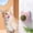 O195 A 2.4x2.0", variant on Natural Mint Lollipop Tease Molar Stick Chew for Cat Catnip Happy 2026!