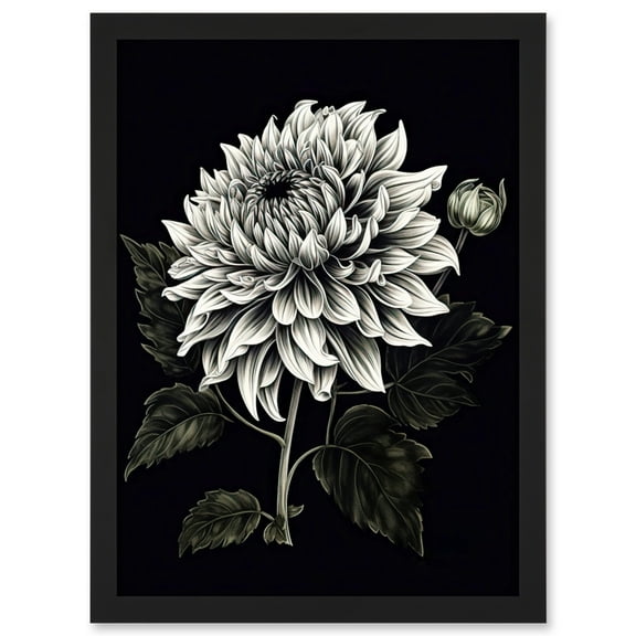 White on Black Dahlia Flower Bloom Illustration Artwork Framed Wall Art Print A4