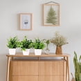 thumbnail image 5 of Behome Fake Plants, 4 Pack Small Fake Plants in White Plastic Pot, Mini Artificial Greenery Potted Plants for Home Decor, Green, 5 of 6