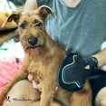 thumbnail image 5 of 2 in 1 Pet Grooming Glove for Dogs & Cats, 5 of 7