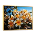 thumbnail image 2 of Designart "Tropical Splendor White and Yellow Plumeria" Floral Floater Framed Wall Art Print, 2 of 7