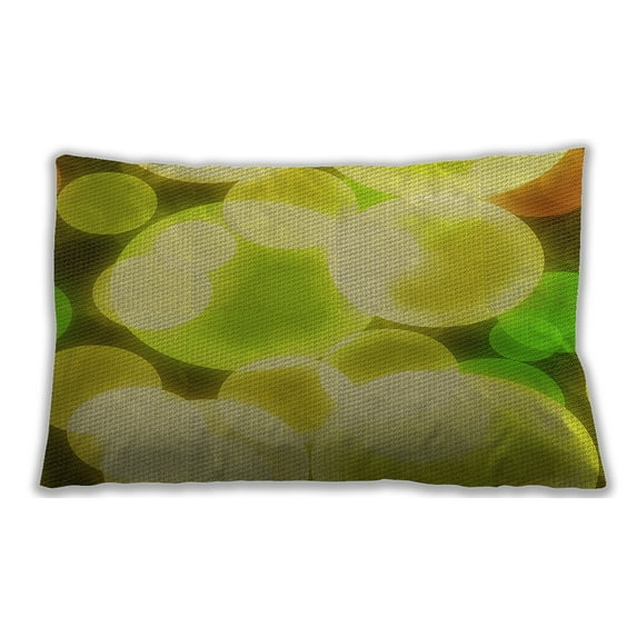 Ahgly Company Outdoor Rectangular Contemporary Lumbar Throw Pillow, 13 inch by 19 inch