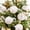 White-WH Home Decor, variant on Weekly flyer karymi Christmas Ornaments 6CM 12PC Boxed Flocked Christmas Ball Ornament Christmas Tree Cover Decoration Gift Gift Ideas Best Sellers