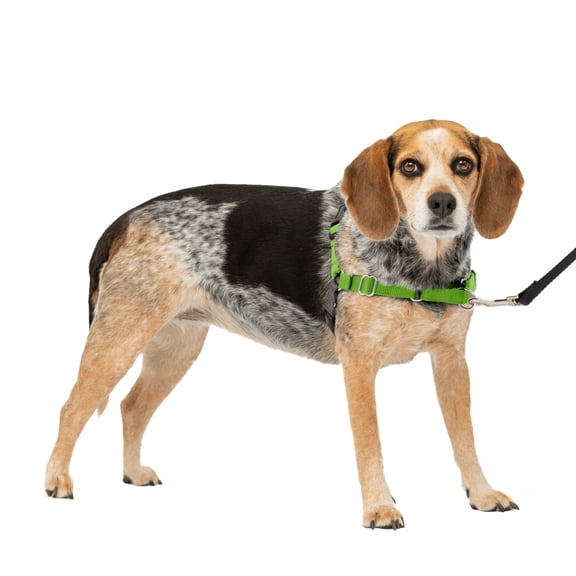 PetSafe Easy Walk Dog Harness, No Pull Leash, prevents from Choking on Walks, Apple, S/M