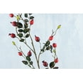 thumbnail image 2 of 12 Pieces of Rosehip Branch Red 31 inch, 2 of 3