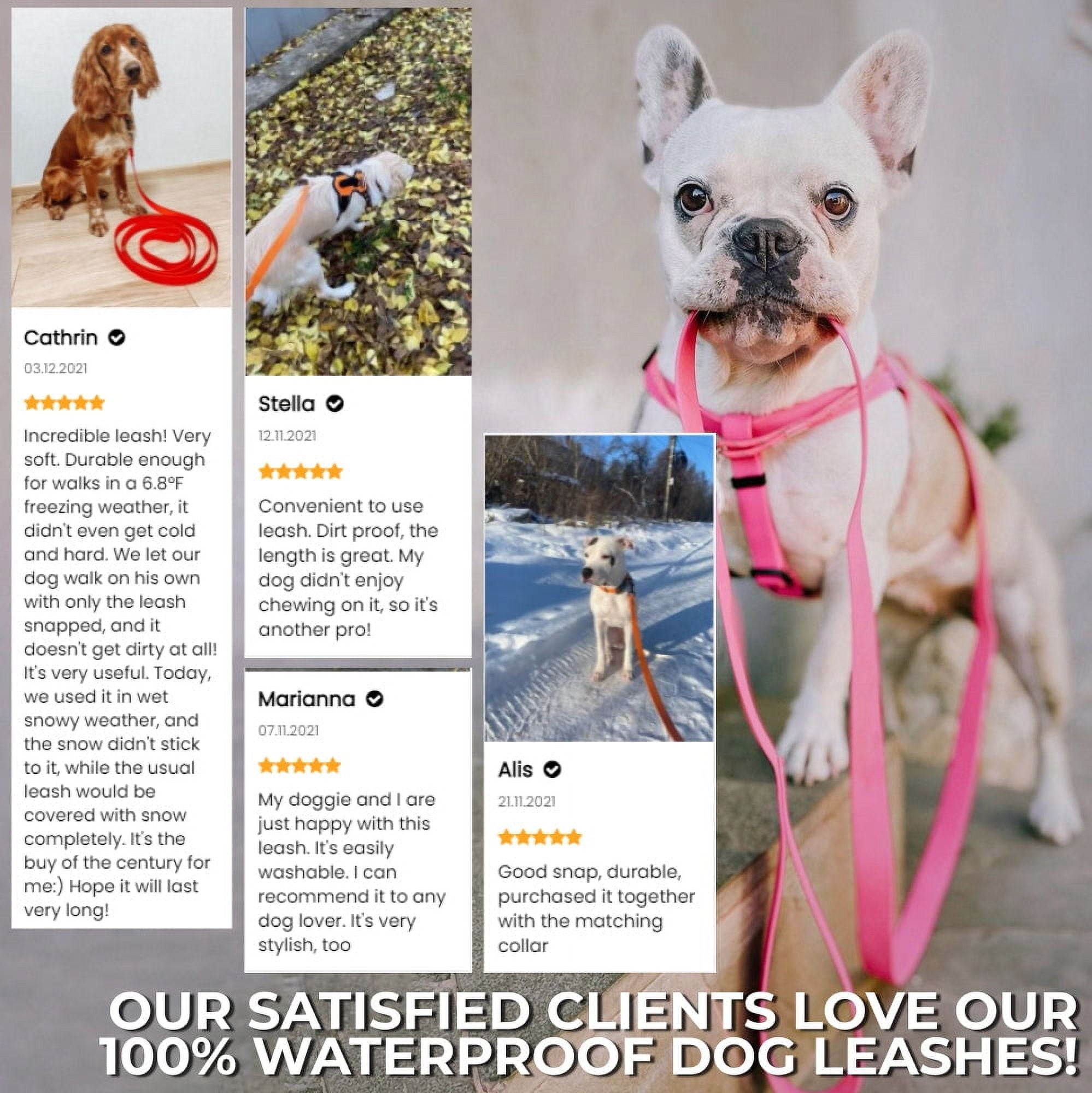 Ultra-Modern Waterproof Dog Leash | Anti-Slip Dog Leash for Large, Small and Medium Dogs | Strong and Durable Leash with Water & Dirt-Resistant | Great for Hiking, Training and Swimming - Orange