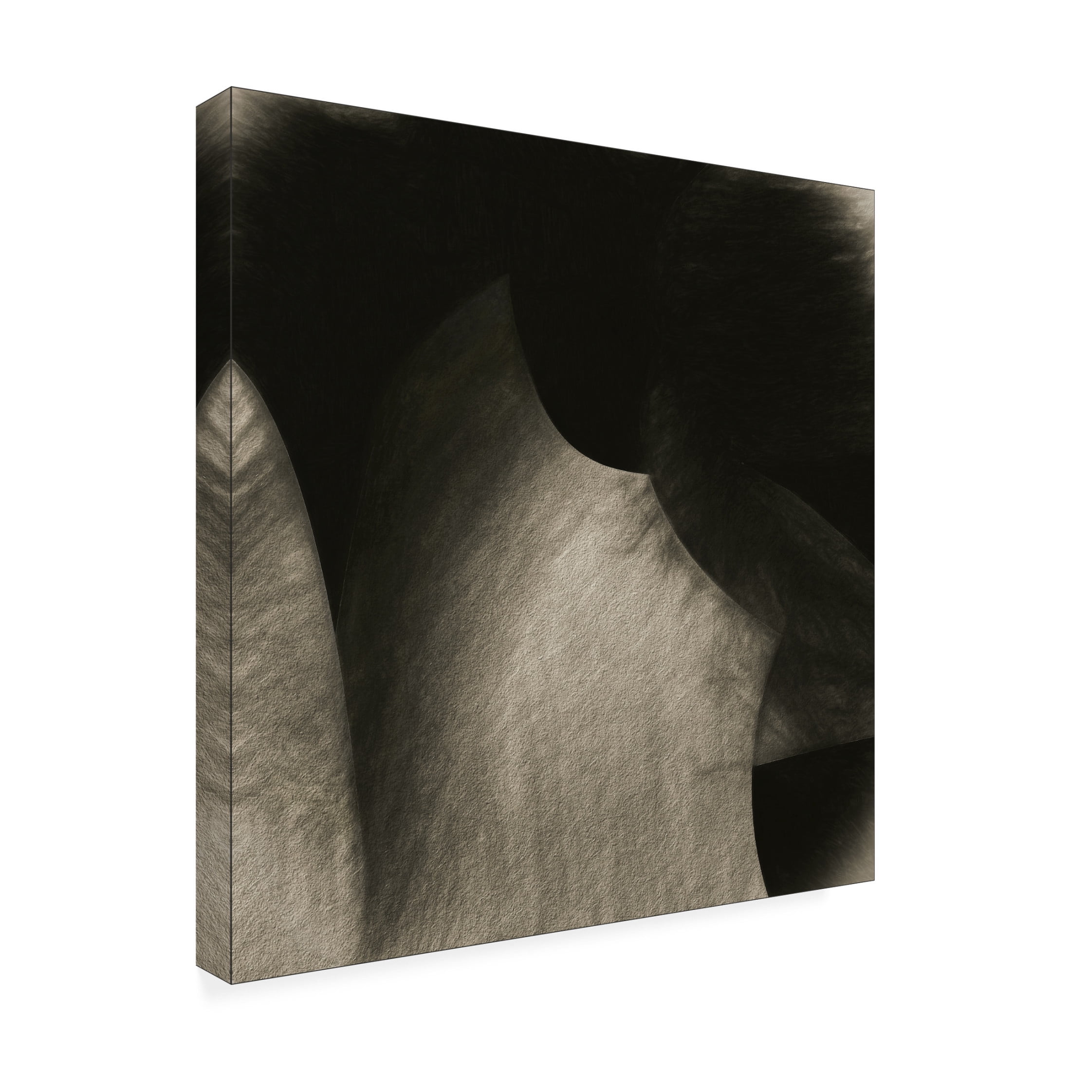 Canvas Wall Art - Gilbert Claes 'Roccia' Wall Art for Living Room, Bedroom, or Office Décor by Trademark Fine Art - 14 x 14 Inches