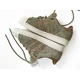 thumbnail image 3 of Ad-id-as SUPERSTAR Shell Toe Suede Olive Green Brown GW2174 Mens 5 Womens 6 Moss, 3 of 6