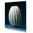 thumbnail image 2 of Designart "Pale Cactus Solitude I" Cactus Canvas Prints, 2 of 7