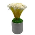 thumbnail image 4 of Bergamo Art 95g Preserved Reindeer Moss in Green, 4 of 5