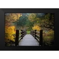 thumbnail image 2 of Susan Vizvary Photography 18x13 Black Modern Framed Museum Art Print Titled - Autumns Bridge, 2 of 5