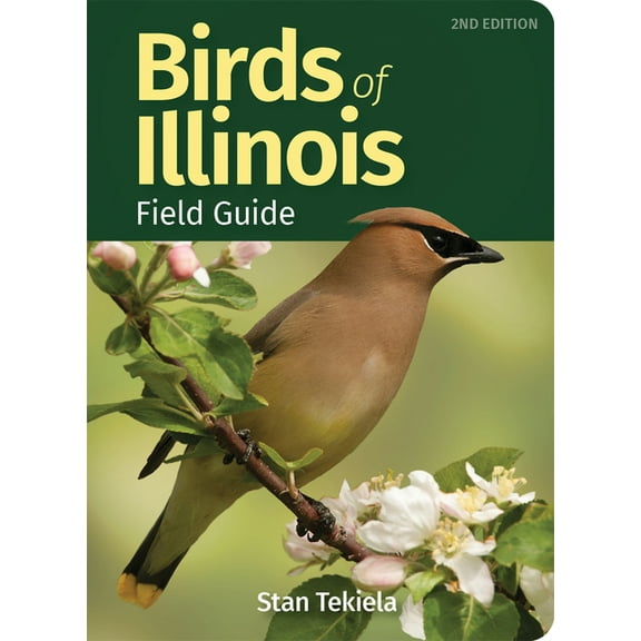 Bird Identification Guides Birds of Illinois Field Guide, (Paperback)