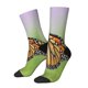 thumbnail image 1 of Balery A monarch butterfly Calcetas Largas con Estampado para Hombre y Mujer – Suaves y Transpirables, Talla Única (US 5-11), 1 of 6