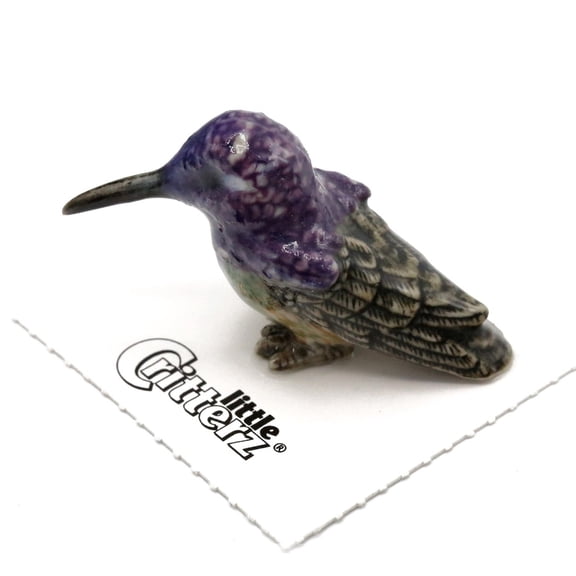 Little Critterz Costa's Hummingbird Cheer Bird - Hand-painted Home Decor Bird Decorative Figurine - Miniature Porcelain Figurine