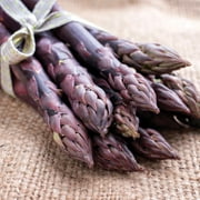 Van Zyverden Asparagus Purple Passion 12 Roots Purple Full Sun Perennial Deer Resistant 2 lbs