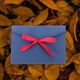 thumbnail image 1 of UPGRATOR 10Ud Sobres Con Lazo Azul Para Tarjetas De Invitación Y Felicitación, 1 of 6
