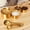 Silver B, variant on Queroig Stainless Steel Measuring Cup Measuring Spoon Set Ergonomic Handles Measuring Cups & Spoons Set Dishwasher Safe Kitchen Tools for Cooking & Baking