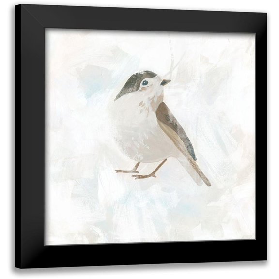 Vess, June Erica 12x12 Black Modern Framed Museum Art Print Titled - Feathered Fresco III