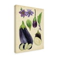 thumbnail image 2 of Trademark Fine Art 'Aubergine Study I' Canvas Art by Melissa Wang, 2 of 4