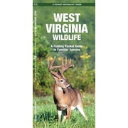 Wildlife and Nature Identification: West Virginia Wildlife : An Introduction to Familiar Species (Other)