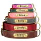 thumbnail image 3 of Collar de perro con placa de identificación de cuero PU personalizado, collares para perros acolchados suaves, nombre grabado gratis para perros pequeños, medianos y grandes, ajustable, 3 of 5