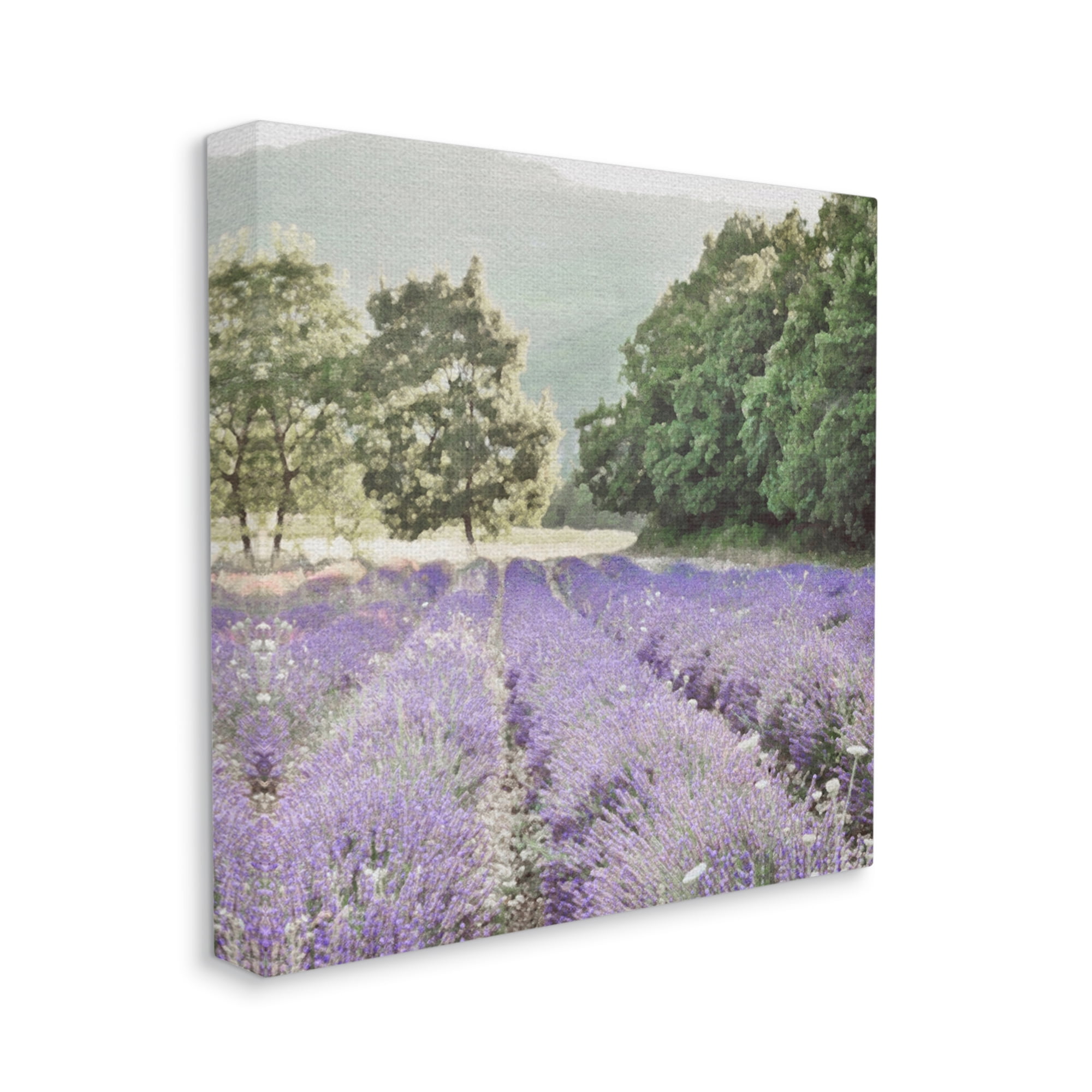 Stupell Industries Lavender Meadow Fields Nature Painting Gallery Wrapped Canvas Print Wall Art, 30 x 30