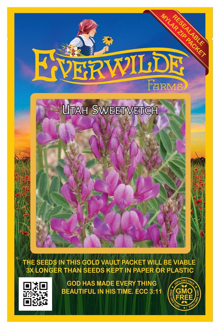 Everwilde Farms 200 Utah Sweetvetch Native Wildflower Seeds Gold