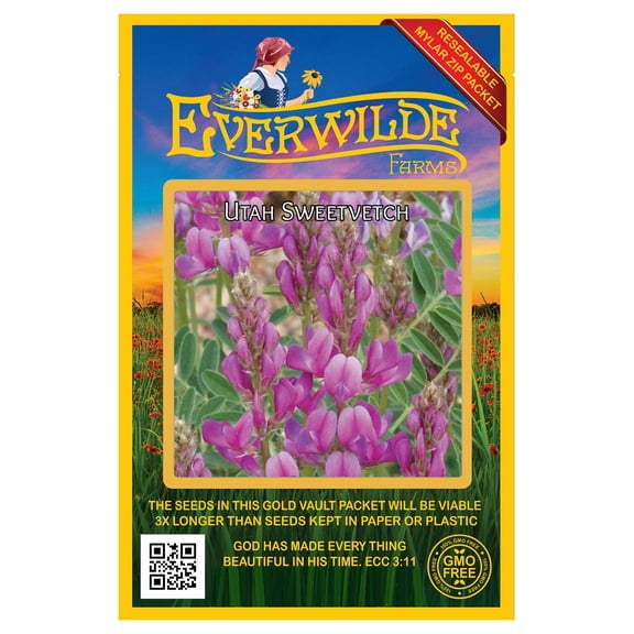 Everwilde Farms - 200 Utah Sweetvetch Native Wildflower Seeds - Gold Vault Jumbo Bulk Seed Packet
