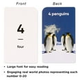 thumbnail image 3 of Think Tank Scholar Numbers Flash Cards for Toddlers - Counting Flashcards for Kids Ages 4-8 Years Old Numbers 0-100, Learn Numbers, Learn Numerical Order, Learn to Count - Math Practice Real Pictures, 3 of 6