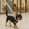 thumbnail image 1 of Correa & Collar XS  Para Mascota , Disfruta  Paseos con Elegancia y Comodidad, 1 of 3