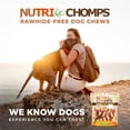 thumbnail image 7 of Nutri Chomps Premium Rawhide-Free Braided Dog Treats, Real Chicken, Peanut Butter & Milk, 6 Inch, 10 Count, 7 of 7