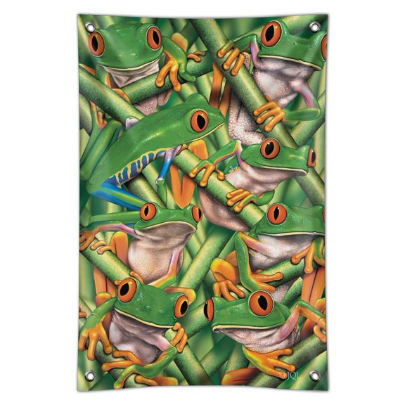 Red Eye Tropical Rainforest Frogs Home Business Office Sign
