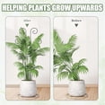 thumbnail image 3 of 2 Pack 30 Inch Taller Plant Trellis for Climbing Plants, Monstera Plant Support Stakes for Outdoor Plants, Expandable Metal Trellis for Potted Plants Climbing Stakes for Garden Vines Flowers, 3 of 8