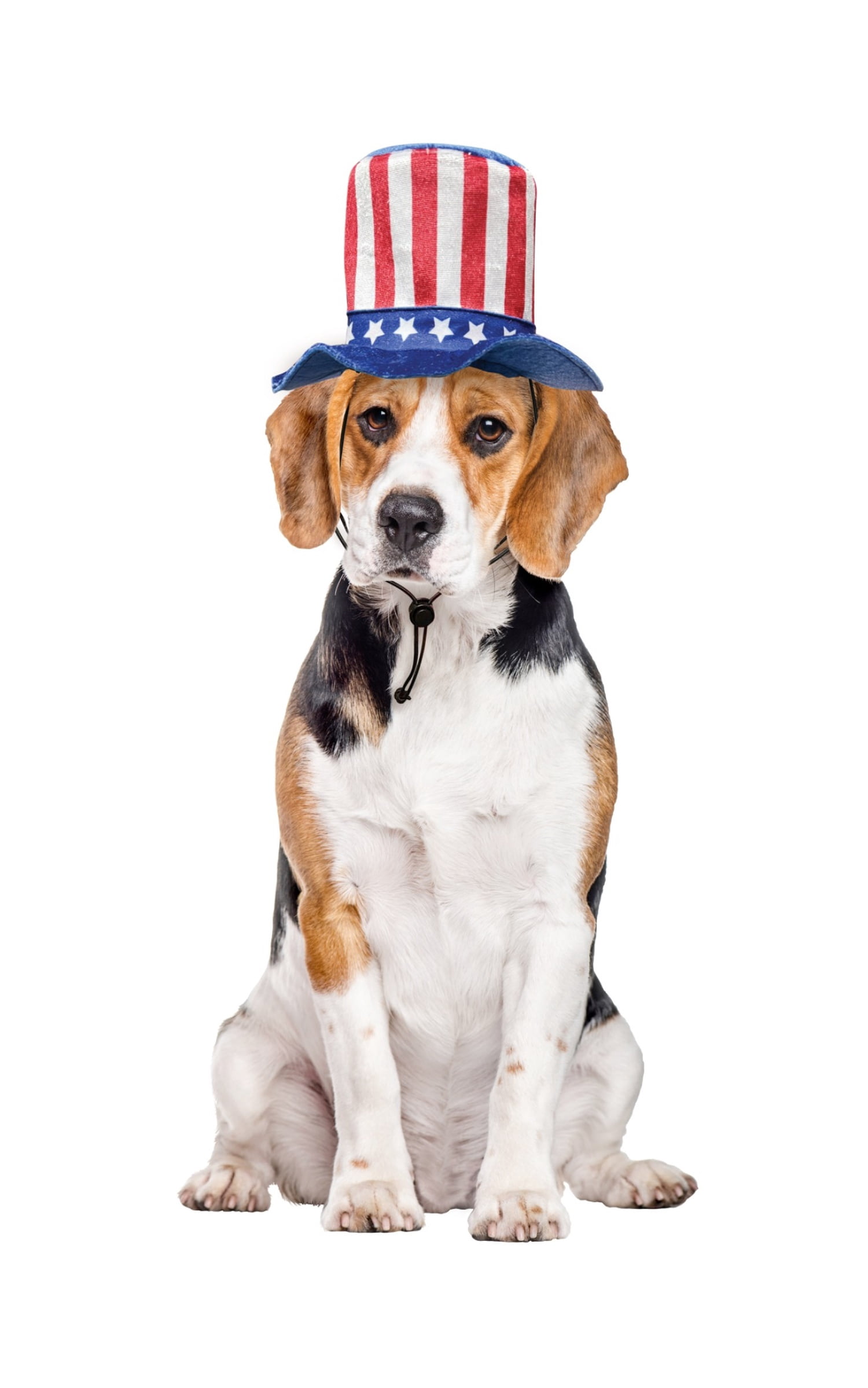 Vibrant Life 4th of July Uncle Sam Pet Top Hat XS/S - Red, White & Blue