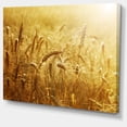 thumbnail image 2 of Champ de Blé Doré - Grand Paysage Art sur Toile, 2 of 4