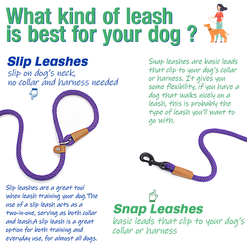 lynxking Slip Lead Dog Leash, 6ft, Purple photo 3