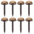 thumbnail image 1 of 8pcs Decorative Caps Cover Nails Fasteners Mirror Screws Brass Screws with Caps, 1 of 3