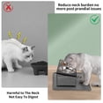 thumbnail image 2 of Elevated Cat Bowls Summark, antivómitos mejorados, con tapete para comida, 2 of 7