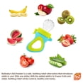 thumbnail image 2 of RaZbaby Fruit Feeder Pacifier 6m+ (2 Pack), Add Frozen Fruit or Fresh Food | Silicone Pouch | BPA Free | Green/Orange, 2 of 8
