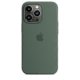thumbnail image 1 of Funda navideña de silicona para iPhone 13 Pro 13pro, eucalipto, 1 of 3